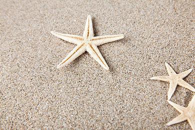 外星基地运营《Techtonica》Steam抢测 预定年内发售